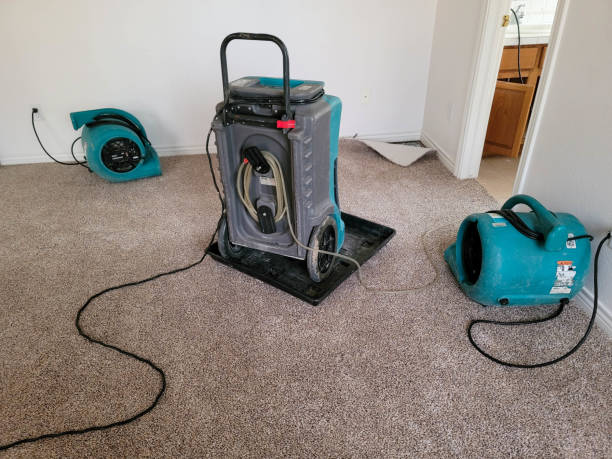 Best Mold removal after water damage  in Big Lake, MN