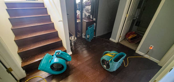 Best Professional water damage repair  in Big Lake, MN