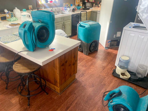 Water damage restoration mold remediation in Big Lake, MN