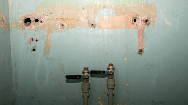 Best 24-hour water damage restoration  in Big Lake, MN