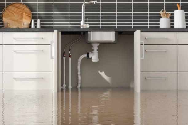 Best 24-hour water damage restoration  in Big Lake, MN