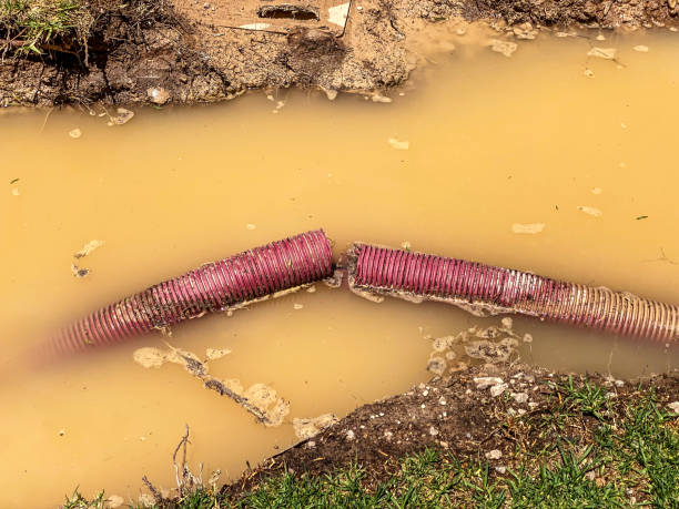 Best Water damage restoration insurance claims  in Big Lake, MN