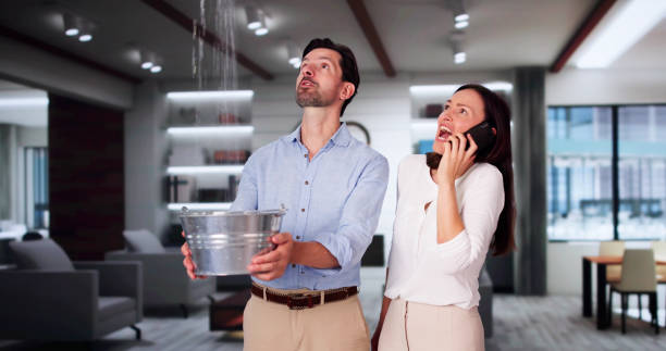 Best Flood restoration services  in Big Lake, MN